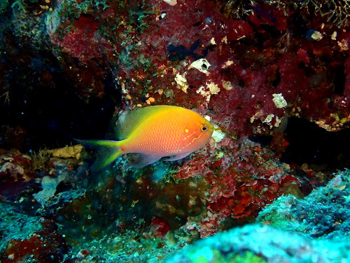 P7030858