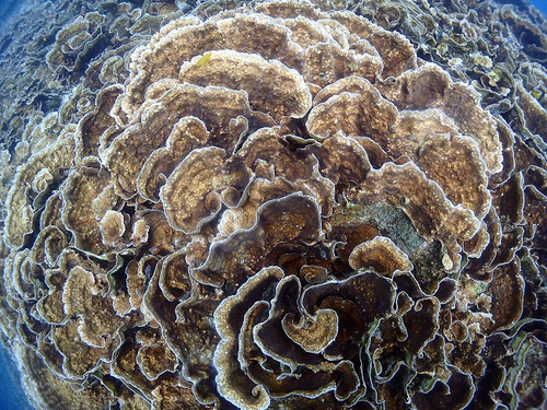 P7016430