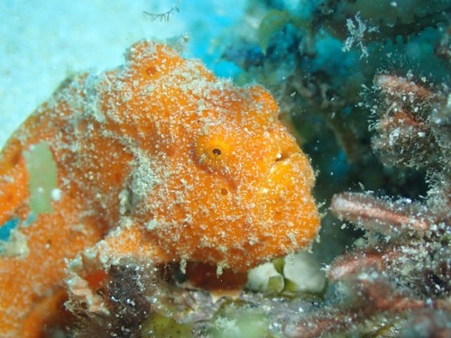 P7026476