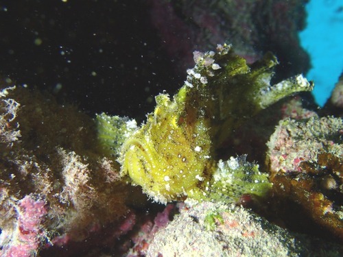 P7026465