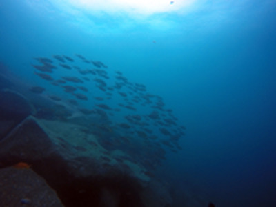 GOPR0291