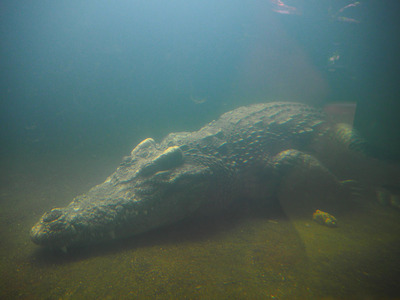 P6220063