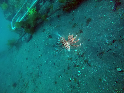 GOPR0268