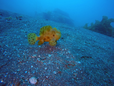 GOPR0264