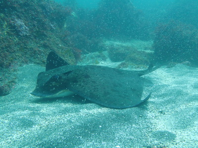 P6300042