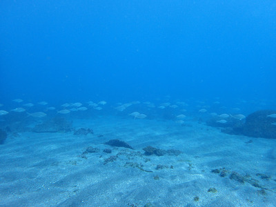 P2230021