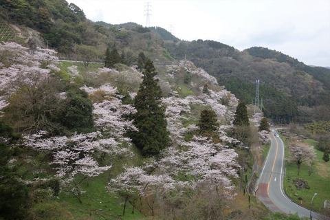 八木山下り