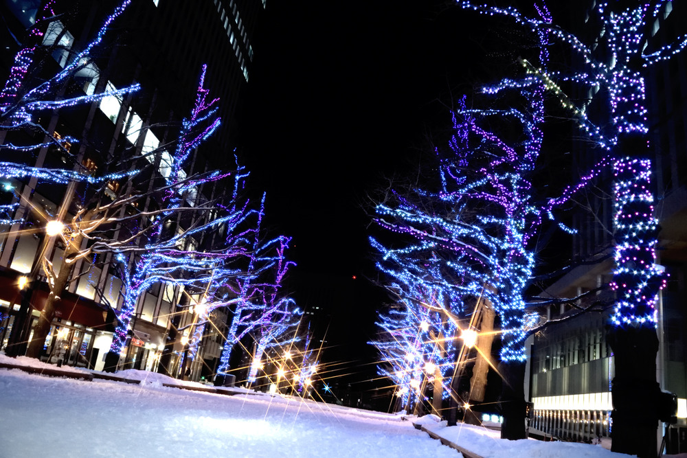 DSC_0040_04