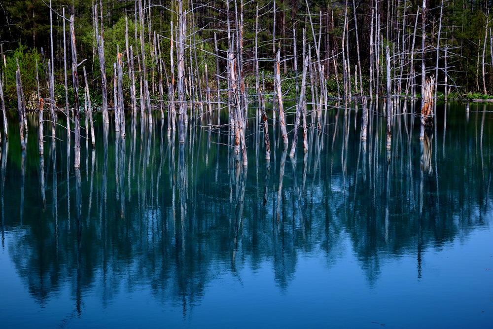 DSC_0063_15