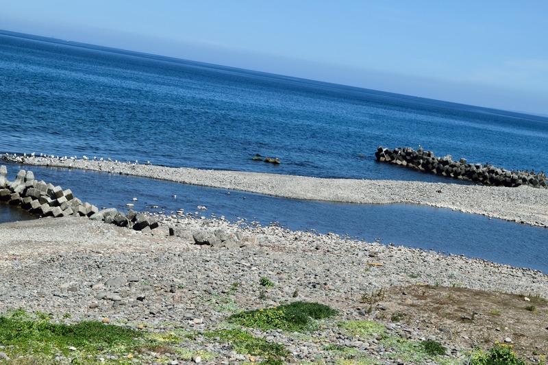 DSC_0029_31