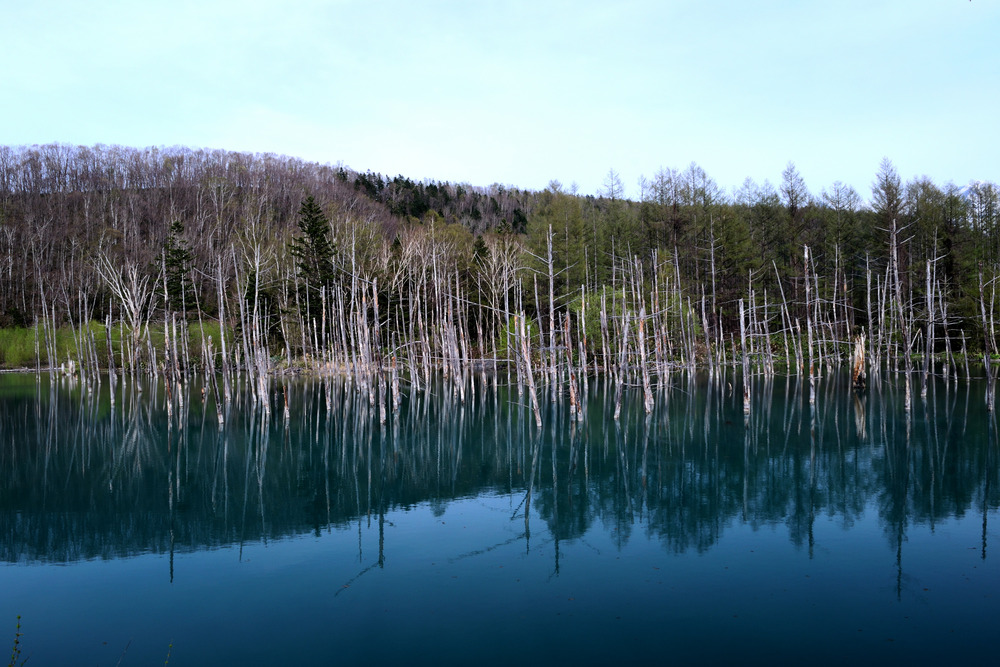 DSC_0062_15