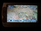 液晶パネルではこう見える