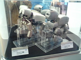 AIBO��
