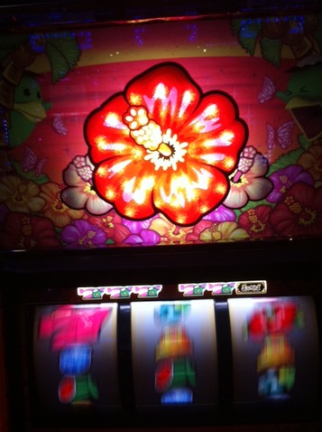 写真 (2)