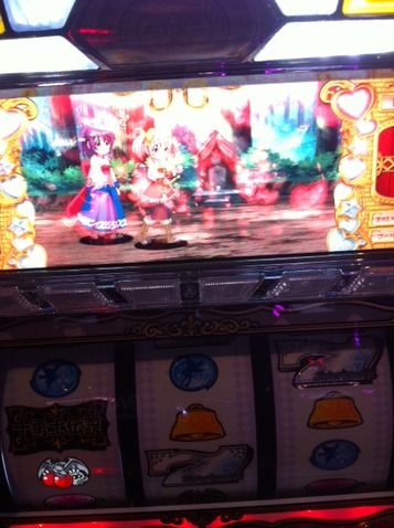 写真 (10)