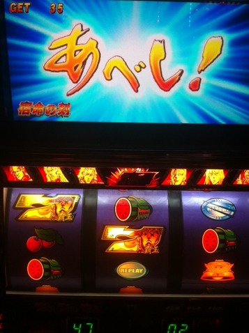 写真 (14)
