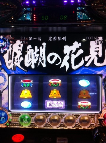 写真 (9)
