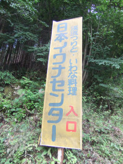 01 DSCF1823