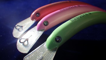 なぶら家 なぶクラ : SFC Fishing News with Individual Report