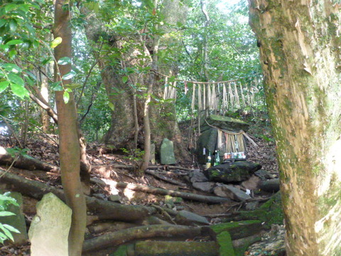 P1000216
