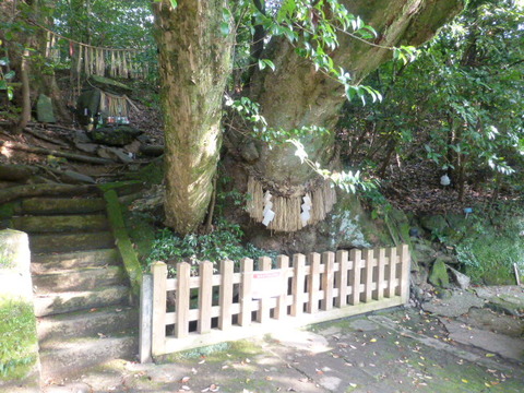 P1000215