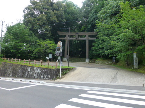 P1000203