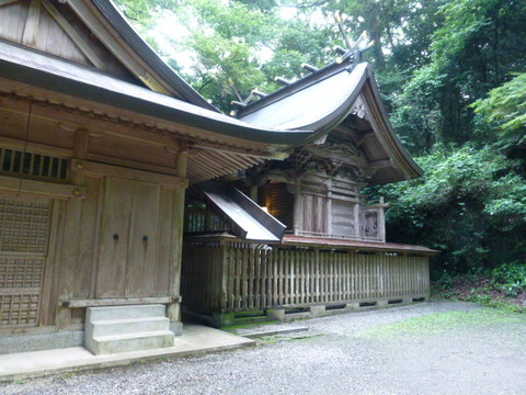 P1000206