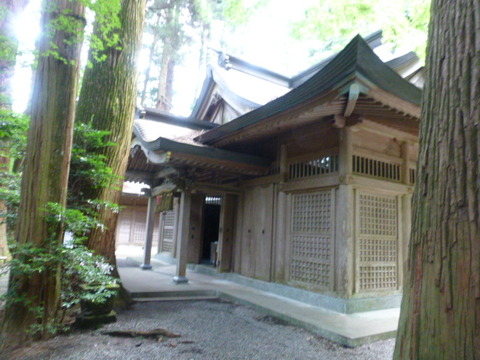 P1000205