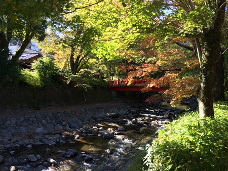 写真 2014-11-15 11 51 35