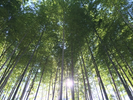 写真 2014-11-15 11 56 47