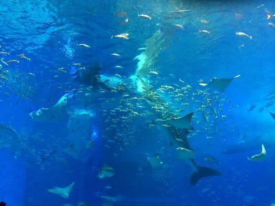 写真 2013-11-23 15 01 35