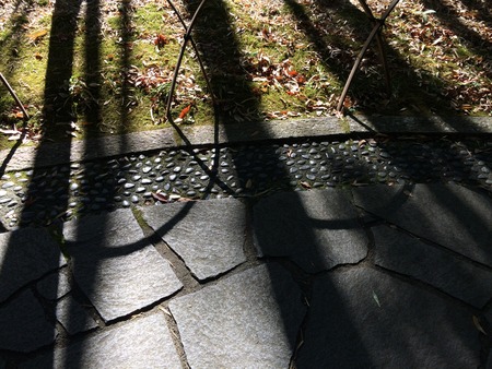 写真 2014-11-15 11 57 30