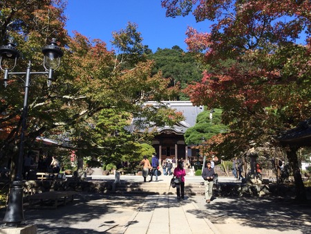 写真 2014-11-15 11 35 03