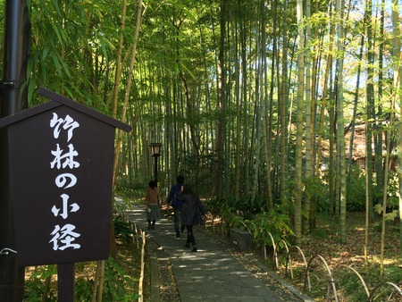 写真 2014-11-15 11 54 20