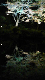 111123_1800~01