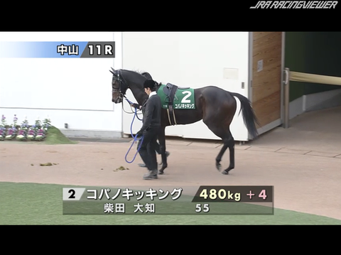 コパノキッキング