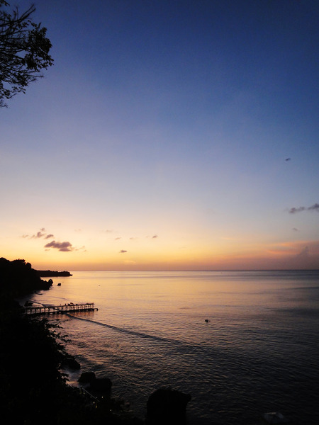 DSC01630