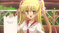 ty274