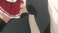 ty312