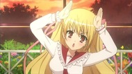 ty277
