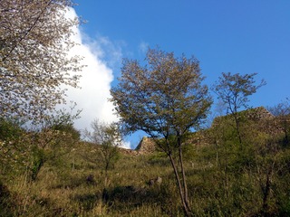 竹田城05