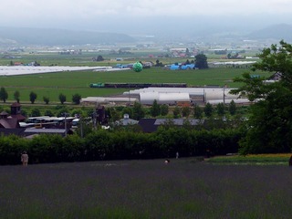 ラベンダーとノロッコ号3