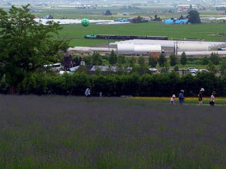 ラベンダーとノロッコ号2