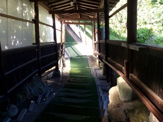 別府温泉保養ランド4