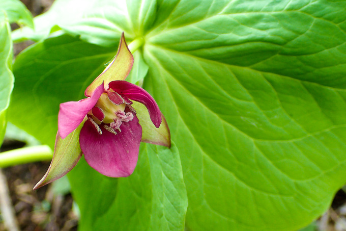 P5040027