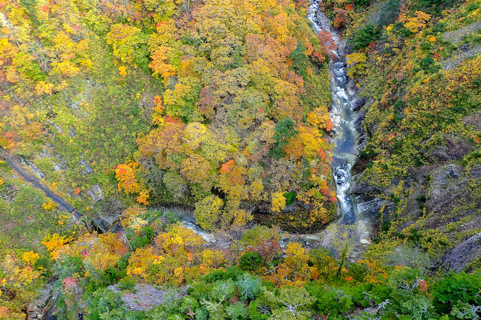 PA120482