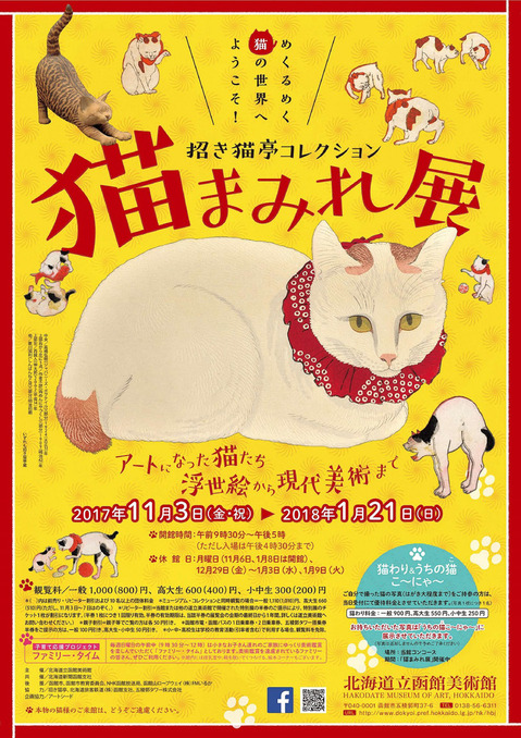 nekochirashi-1