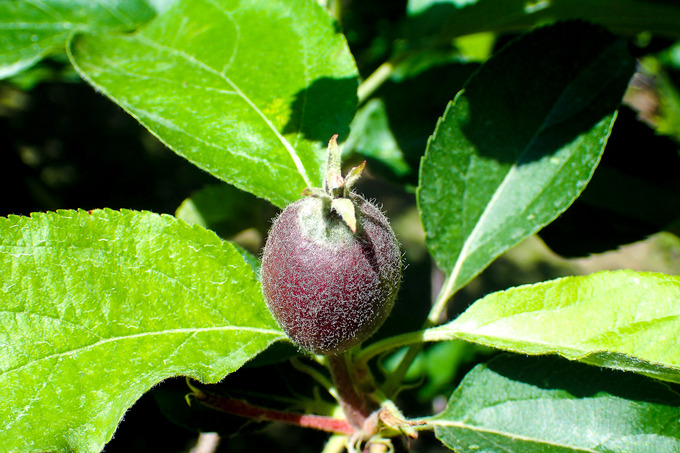 P6130010