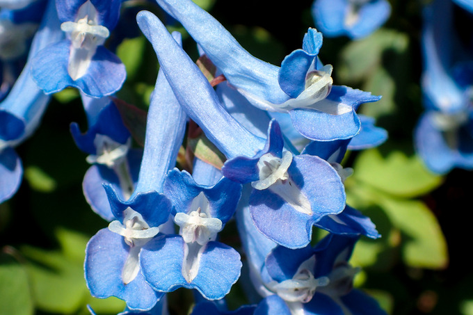 P4140117