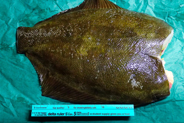 P1210020_1-2